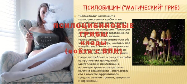 MESCALINE Абинск